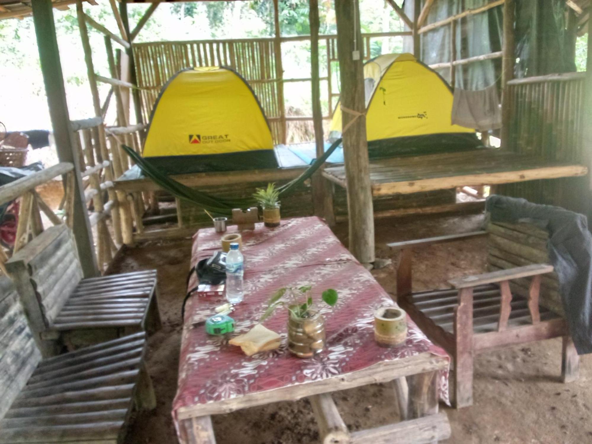 Landak River Guest House Only Trekking With Us 부킷 라왕 외부 사진