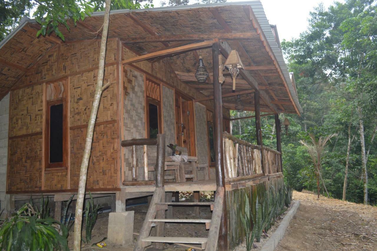 Landak River Guest House Only Trekking With Us 부킷 라왕 외부 사진