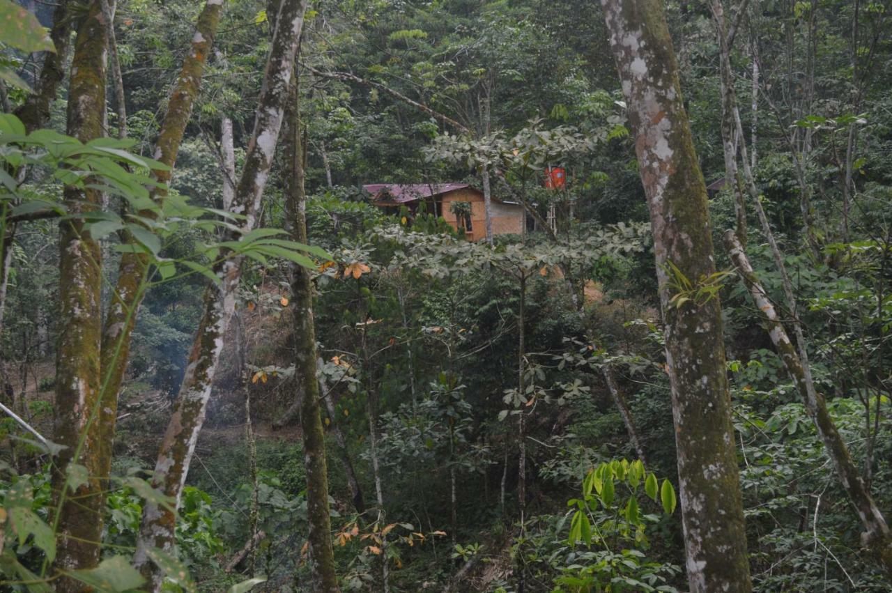 Landak River Guest House Only Trekking With Us 부킷 라왕 외부 사진