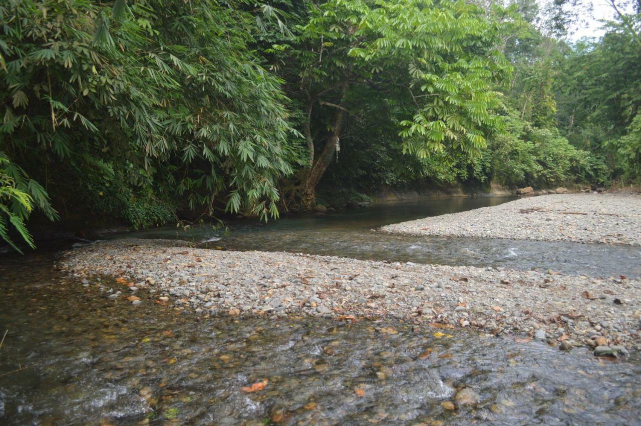 Landak River Guest House Only Trekking With Us 부킷 라왕 외부 사진
