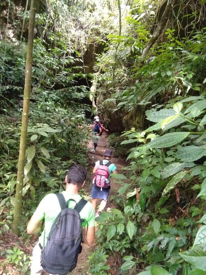 Landak River Guest House Only Trekking With Us 부킷 라왕 외부 사진
