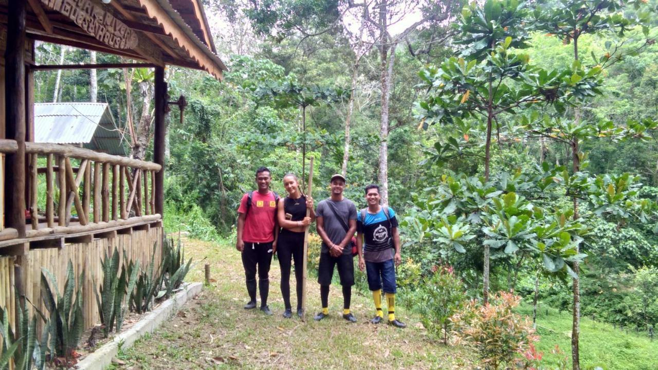 Landak River Guest House Only Trekking With Us 부킷 라왕 외부 사진